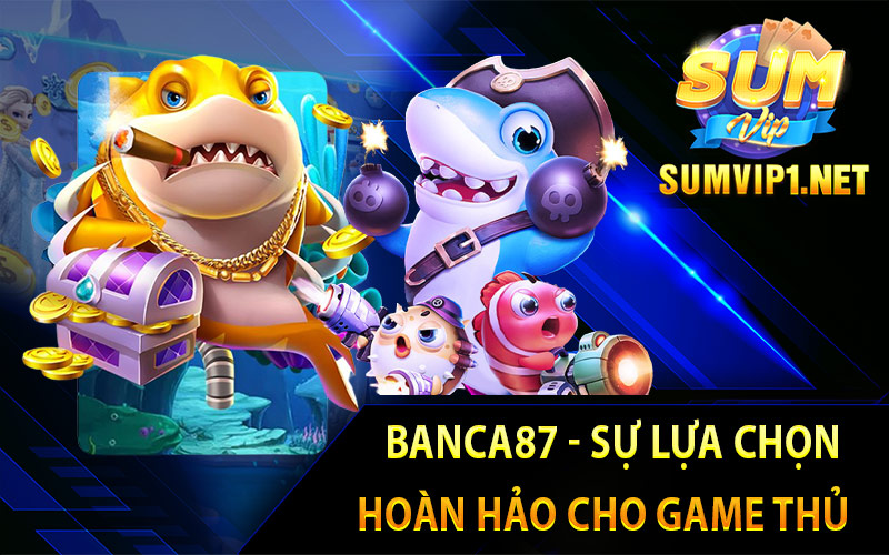 Banca87 - Sự Lựa Chọn Hoàn Hảo Cho Game Thủ